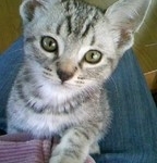 コ( ´・∀・｀)さんのプロフィール画像