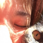 チョコミさんのプロフィール画像