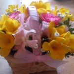 さぁちゃんさんのプロフィール画像