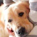 アリッサムさんのプロフィール画像