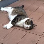 Marieさんのプロフィール画像