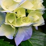 シナモン01234さんのプロフィール画像