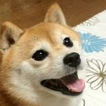 ♪きよ♪さんのプロフィール画像