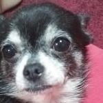 ルアんさんのプロフィール画像