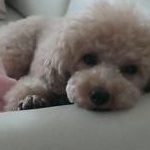 もも0615さんのプロフィール画像