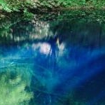 美香さんのプロフィール画像