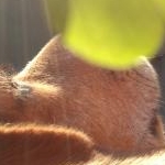 真奈さんのプロフィール画像