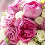 みんみんさんのプロフィール画像