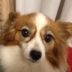 kam*kam*ch*n*211さんのプロフィール画像