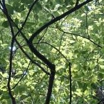 りなさんのプロフィール画像