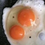 コチョウランさんのプロフィール画像