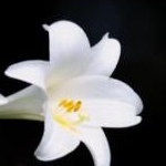 のんのさんのプロフィール画像