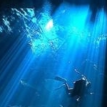 しおりさんのプロフィール画像