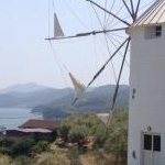 うえださんのプロフィール画像