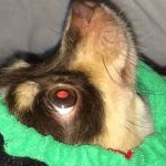 ♡Rin♡さんのプロフィール画像