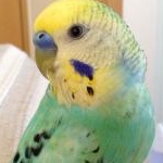 もなりなさんのプロフィール画像