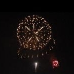 ピロリさんのプロフィール画像