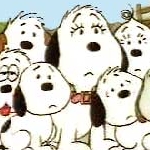 tmm.sさんのプロフィール画像