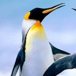 キリさんのプロフィール画像