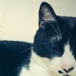 ちひろさんのプロフィール画像