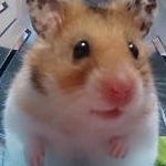 mkrn13さんのプロフィール画像