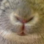 hiroさんのプロフィール画像