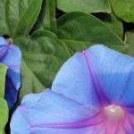 まぁさんのプロフィール画像