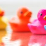 はこももさんのプロフィール画像