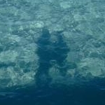 pafuさんのプロフィール画像