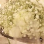 みいさんのプロフィール画像