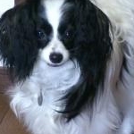 ゆきうさぽさんのプロフィール画像