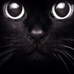 ＵＵ 哉さんのプロフィール画像