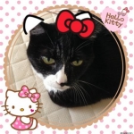 おかんさんのプロフィール画像