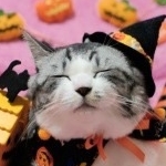 hotchickさんのプロフィール画像