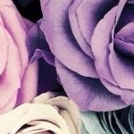 tribalさんのプロフィール画像