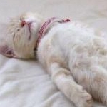 Mimmyさんのプロフィール画像