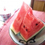 tamtam（タムタム）さんのプロフィール画像