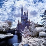 hit**an1209さんのプロフィール画像