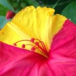 smamasさんのプロフィール画像