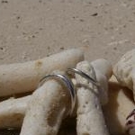 凸凹さんのプロフィール画像