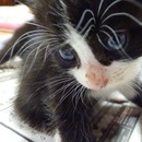 エンドウマメさんのプロフィール画像