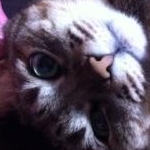 ミーナラブさんのプロフィール画像