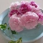 fruitslineさんのプロフィール画像