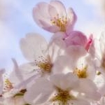 aikaさんのプロフィール画像