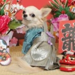 6Cさんのプロフィール画像