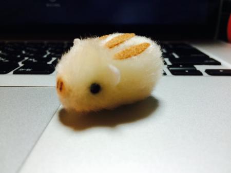 Saico1217さんのプロフィール画像