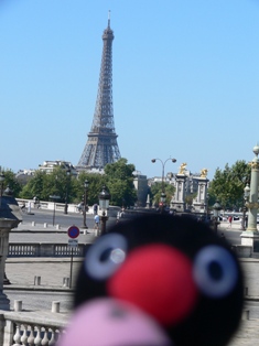 りすねこさんのプロフィール画像