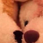 あきほさんのプロフィール画像