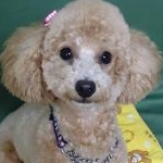 よーさんのプロフィール画像