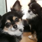 ゆずミン♪さんのプロフィール画像